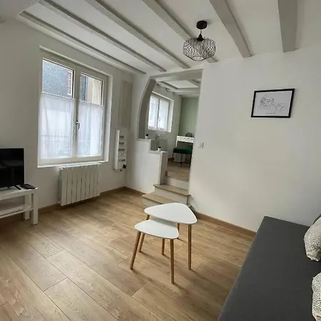 Vakantiehuis Centre-ville : Maison De Charme - Secteur Calme Laval (Mayenne)
